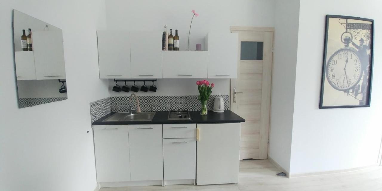 Jedlinka Apartment Jedlina-Zdroj